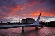 _MG_3536