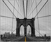 IMG_9268