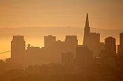 IMG_3368