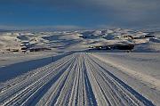 IMG_0242