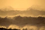 IMG_0318