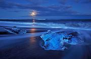 IMG_1614