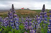 IMG_3590