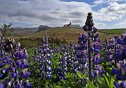 IMG_3699