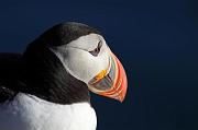 IMG_4286