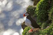 IMG_4421
