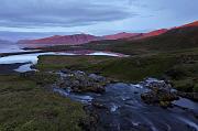 IMG_4910