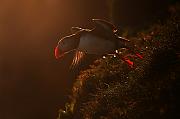 IMG_5155