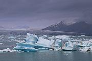 IMG_5950
