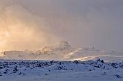 IMG_9134