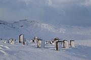 IMG_9154