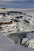 IMG_9432