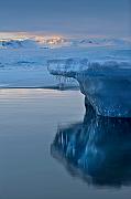 IMG_9585_1