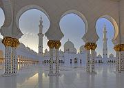 IMG_0074_5_6
