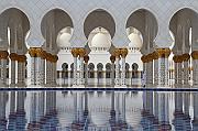 IMG_0540