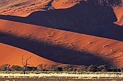 IMG_0906