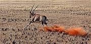 IMG_1709