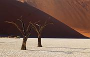 IMG_6695