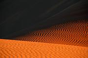 IMG_6861