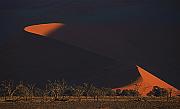 IMG_7005