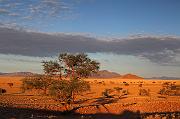 IMG_7557
