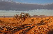 IMG_7560