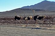 IMG_7613