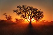 IMG_8434_5_6_7_8_9