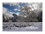 IMG_1128