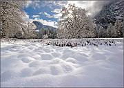 IMG_1137k