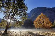 IMG_3475_6_7