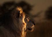 IMG_1269k