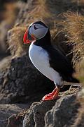 IMG_4196