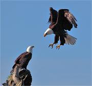 IMG_6632_1