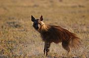 _M7_3565
