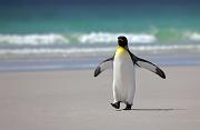 _MG_0806