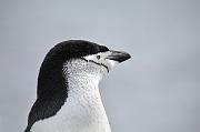 _MG_1750