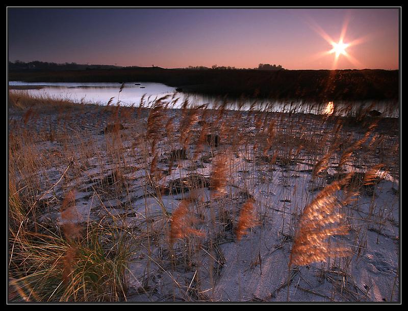 golden-hour-in-meckpomm-5cfe92f3-c317-4a98-a767-c07cc0785751.jpg
