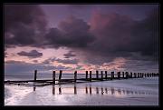IMG_2527